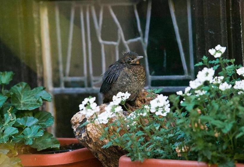 酒店 Altdeutsche Weinstuben