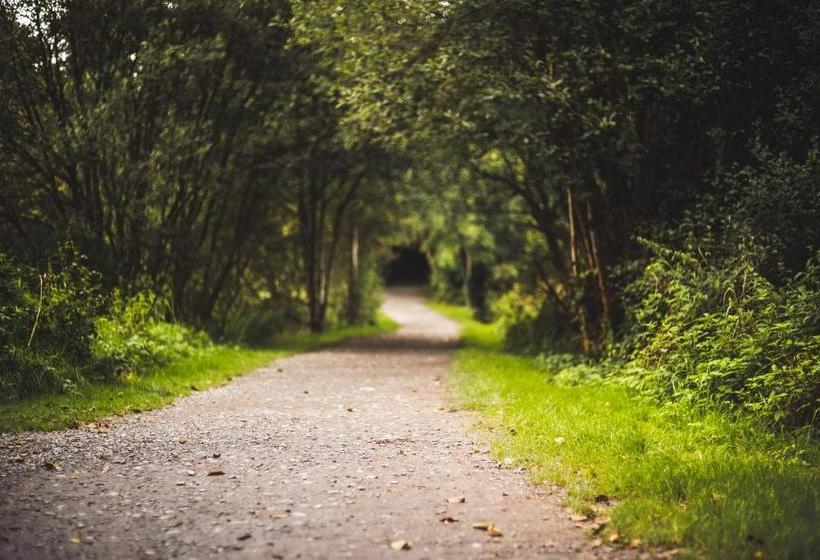 בית מלון כפרי The Avon