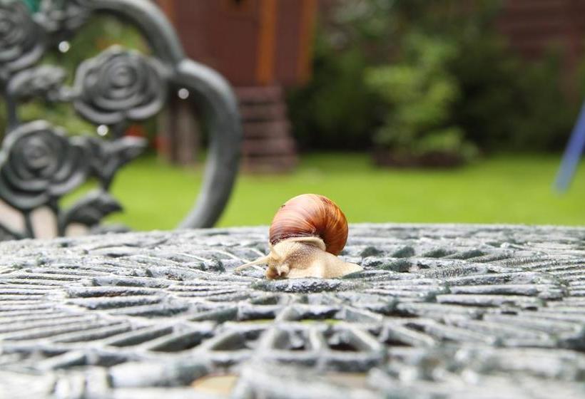 Boutique Vila Artemide