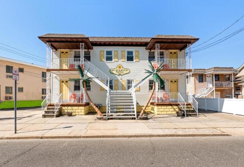 בית מלון כפרי Buttercup Suites