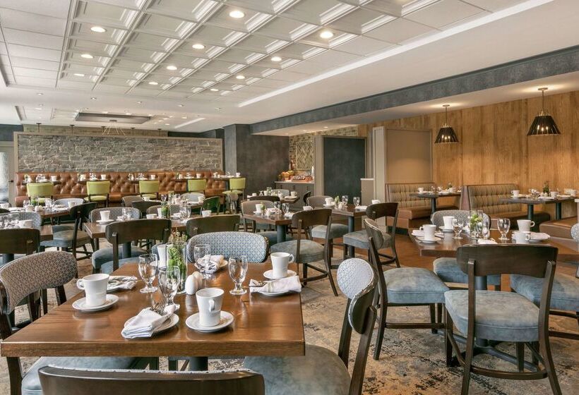 酒店 Doubletree By Hilton Mclean Tysons