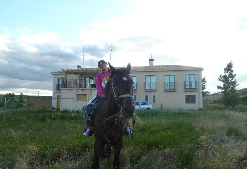 Отель Hostal Moratinos