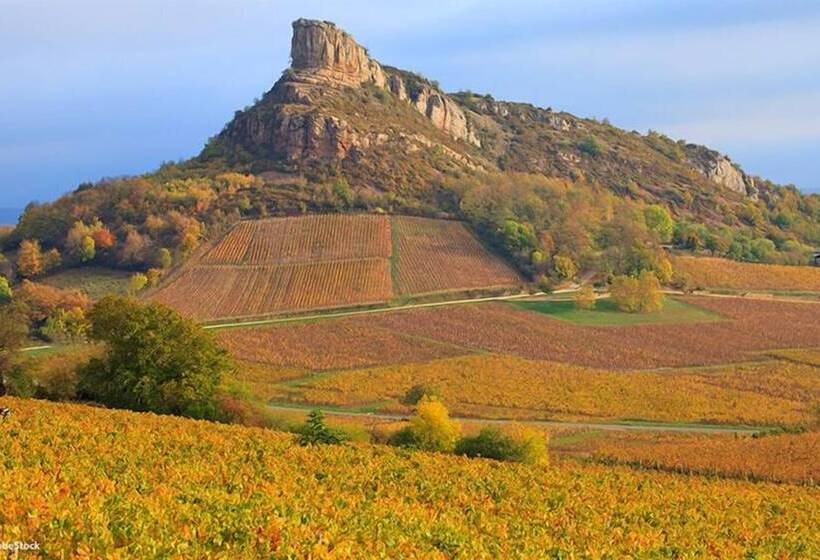 فندق Hôtel Saint Odilon