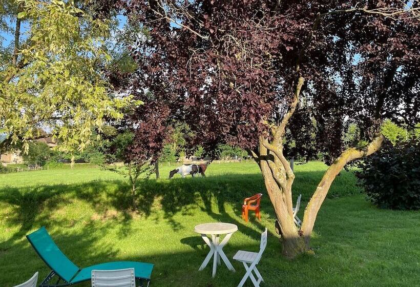 فندق Hôtel Saint Odilon