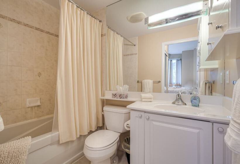 Отель Ice Suites