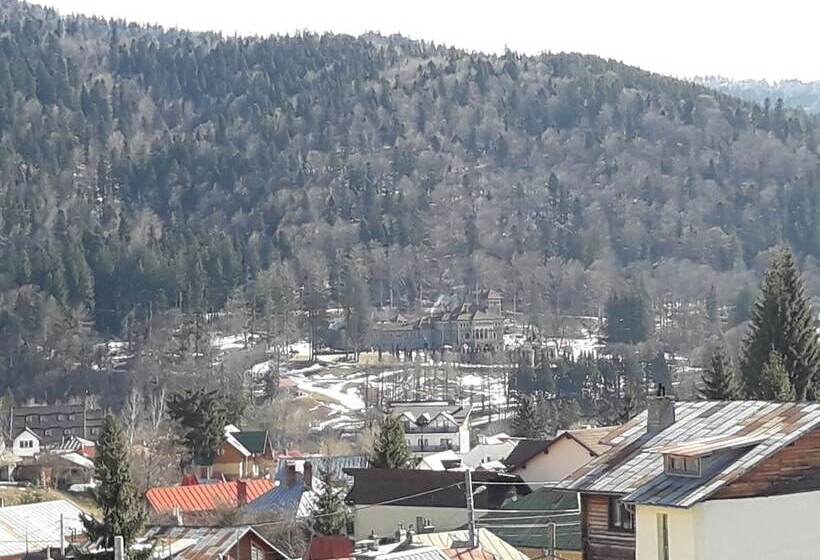 בית מלון כפרי Iri