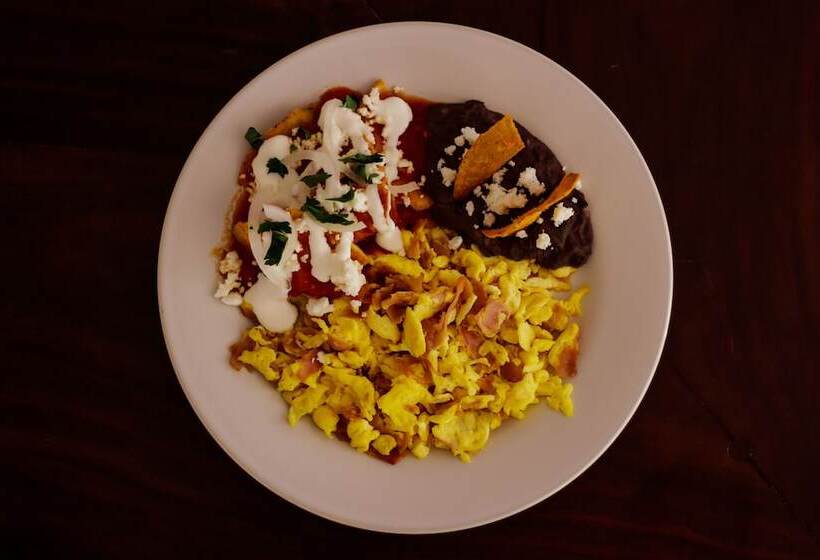 ホテル Kavia Cancun