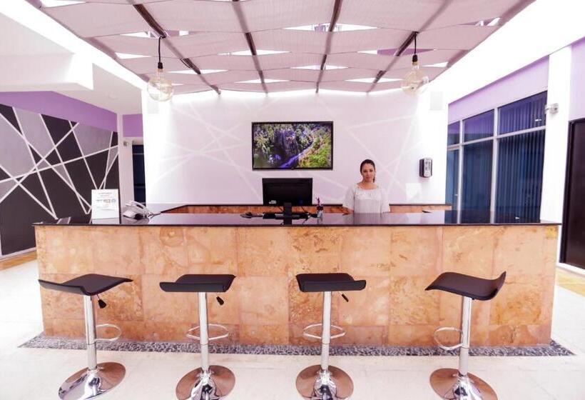 ホテル Kavia Cancun