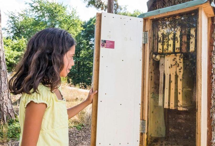 ホテル Landal Sonnenberg