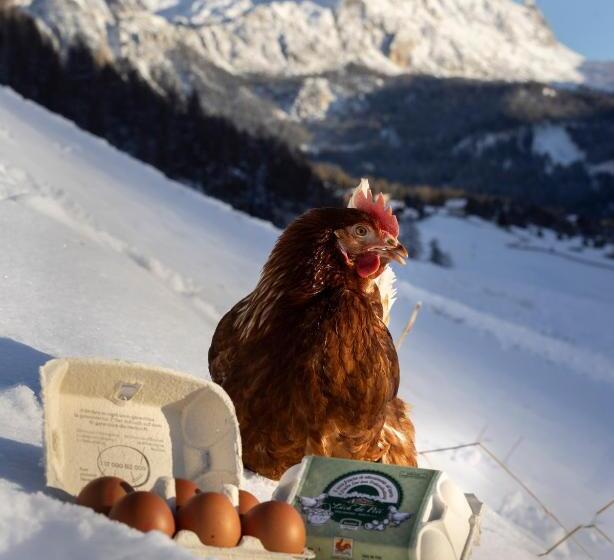 בית מלון כפרי Lüch Da Pćëi