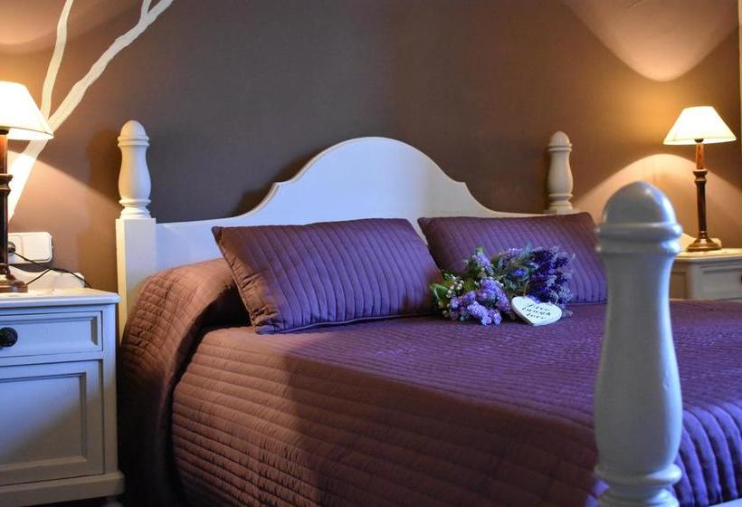 ホテル Masia Can Sala