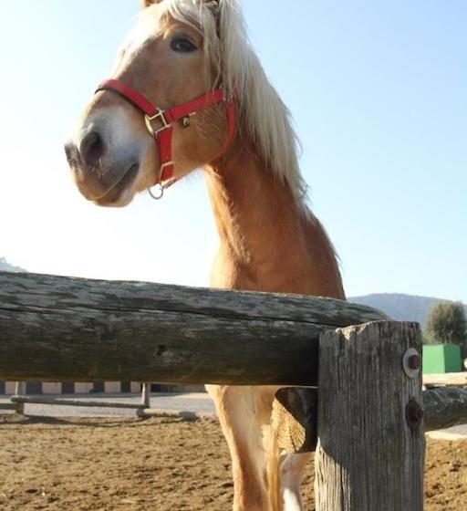 בית מלון כפרי Masia Can Sala