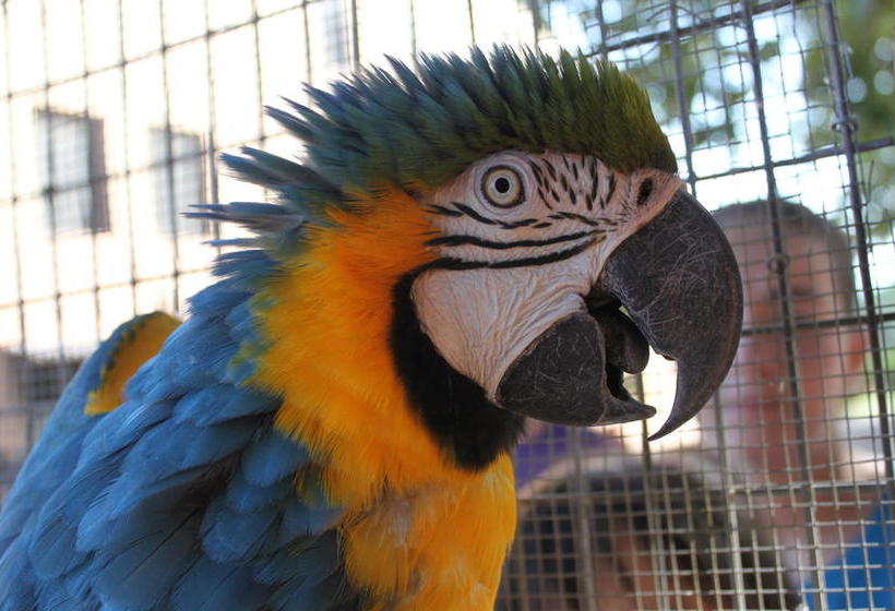 בית מלון כפרי Masia Can Sala