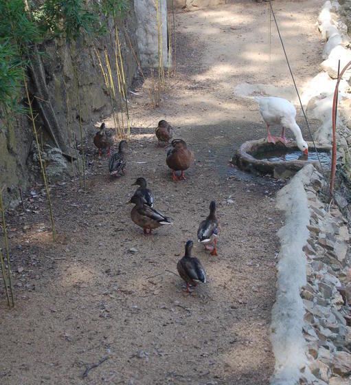 בית מלון כפרי Masia Can Sala