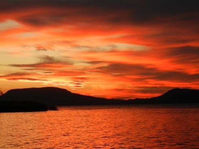 ホテル Partvilla Balatonboglar