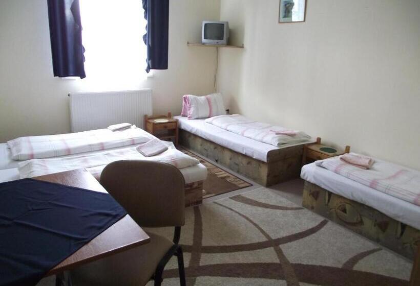 酒店 Penzión Slávia