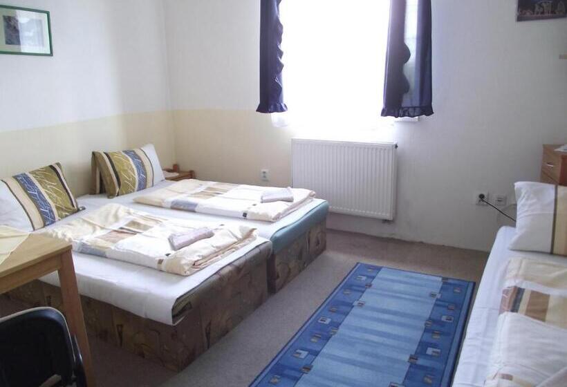 酒店 Penzión Slávia