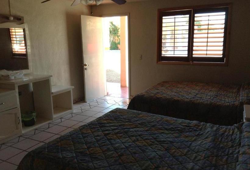 בית מלון כפרי Capital O  Posada Del Leon