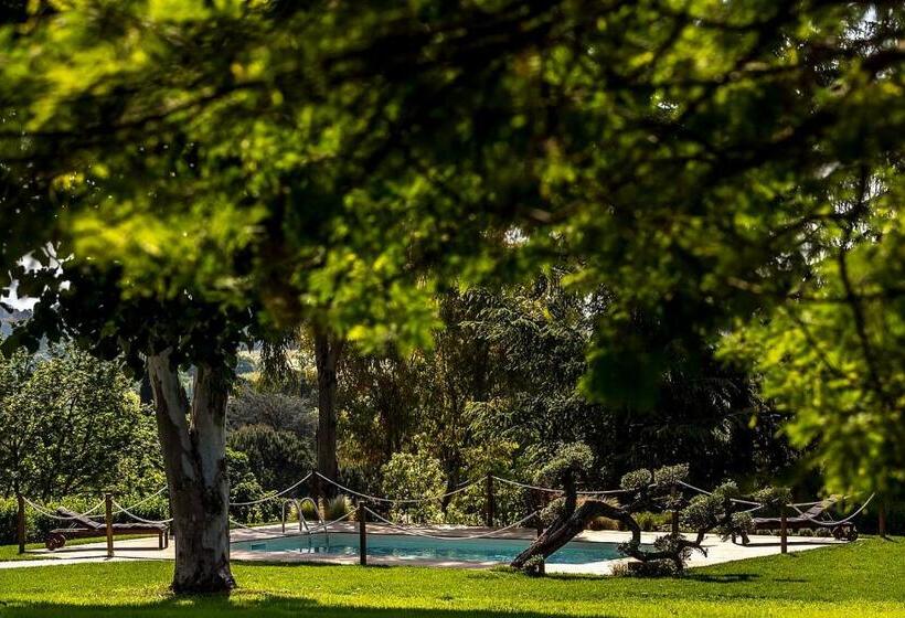 בית מלון כפרי Boma Countryhouse