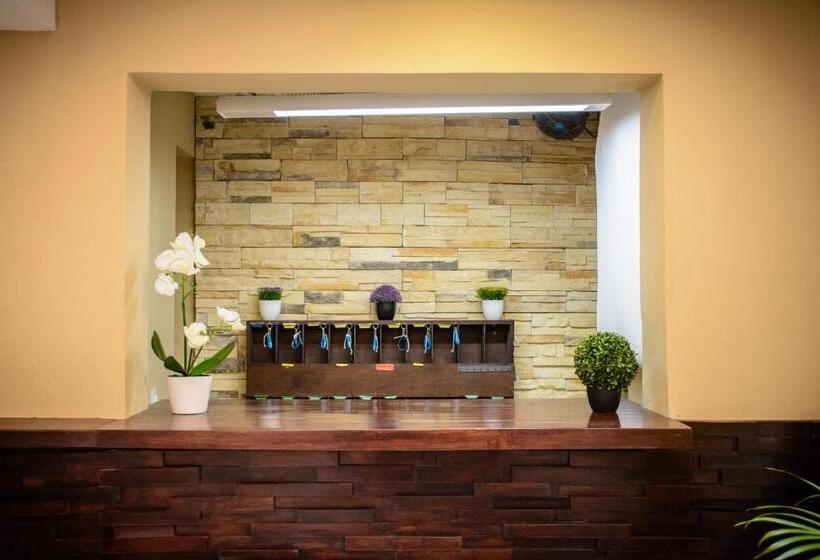 בית מלון כפרי Sayab 5ta Avenida