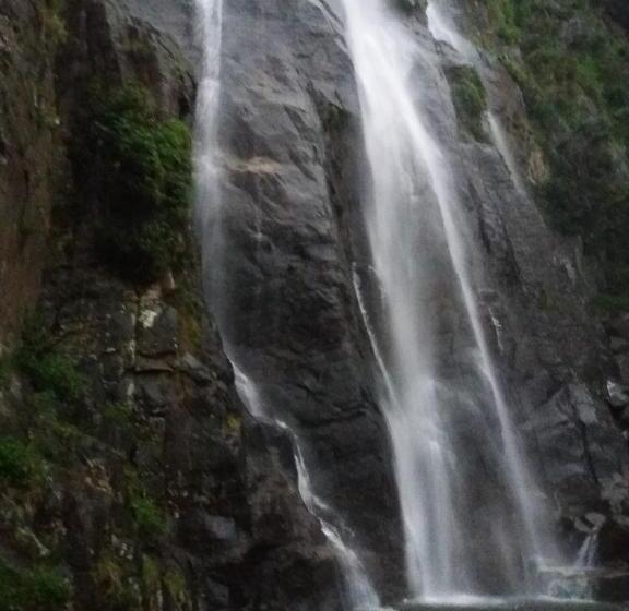 酒店 The Mist Holiday Bungalow