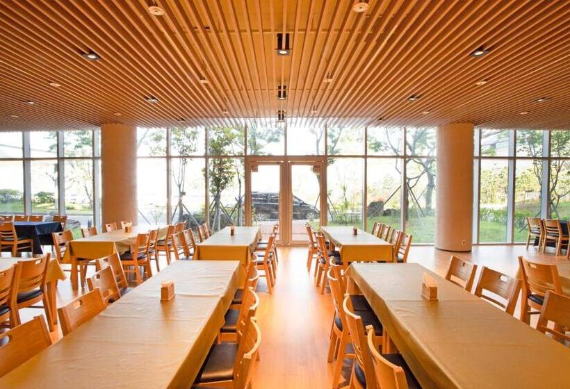 فندق The Qube Resort Jeju