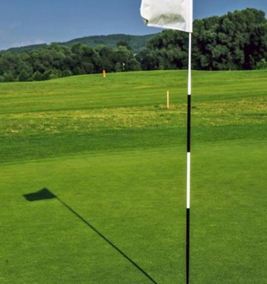 בית מלון כפרי Villa Green