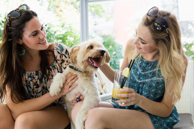 Olimpia Hotel & Apart