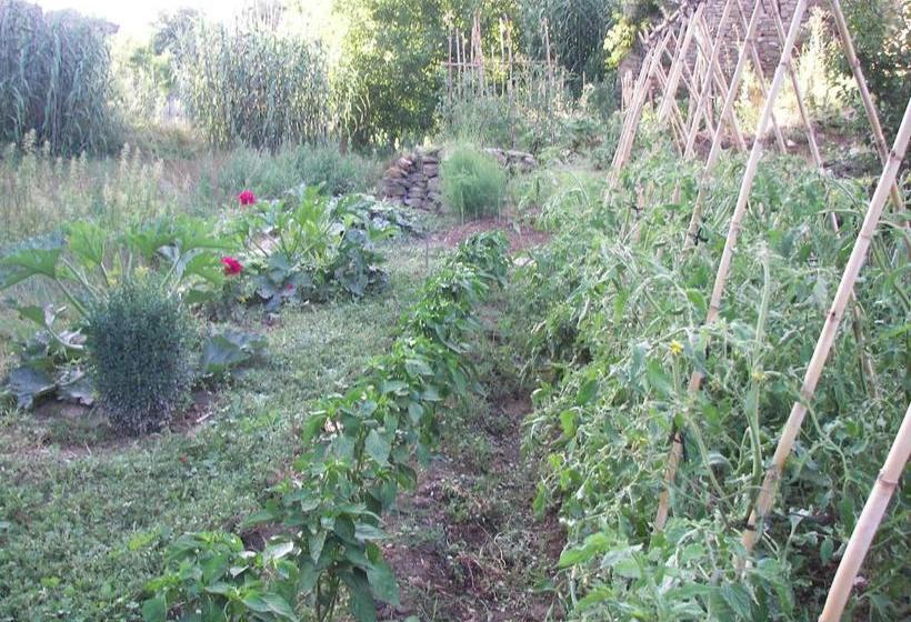 Antigua Casa Catones