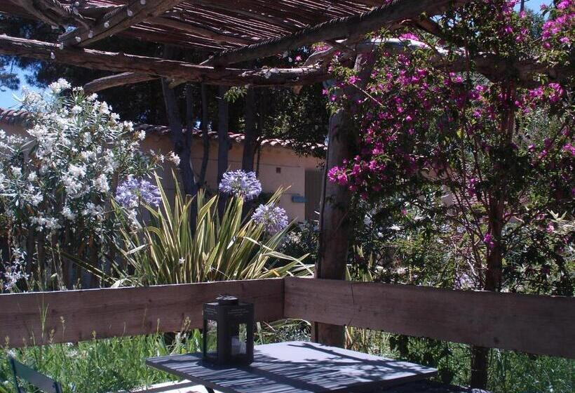 ベッドアンドブレックファースト La Vagabonde