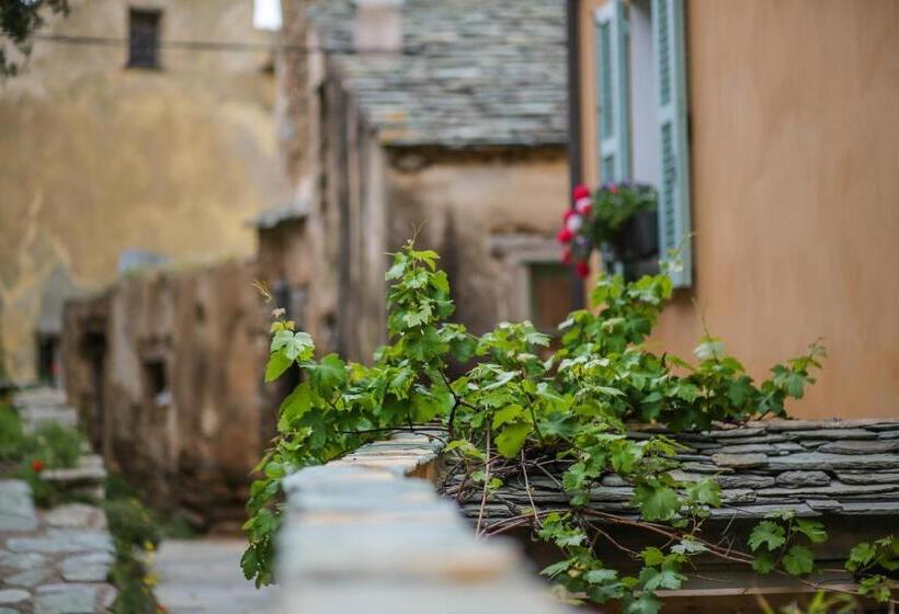 צימר Latu Corsu   Côté Corse   Gites Et Chambres D Hôtes Au Cap Corse
