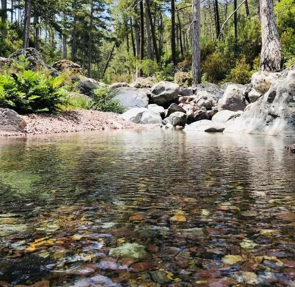 Отель A Spelunca
