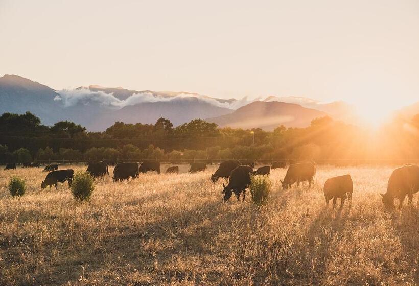 هتل Boschendal Farm Estate