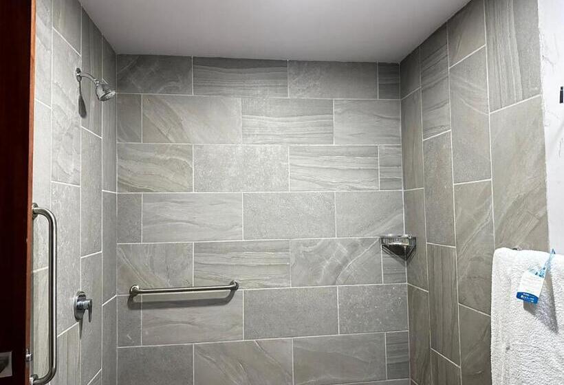 酒店 Comfort Inn & Suites Los Cabos