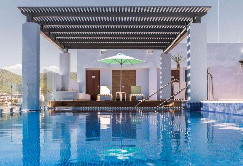 酒店 Comfort Inn & Suites Los Cabos