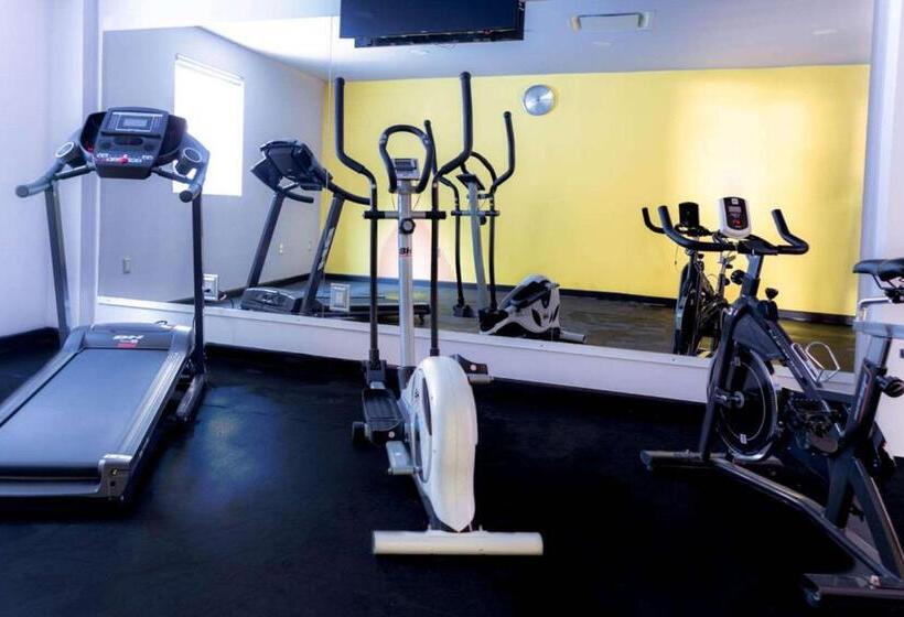 酒店 Comfort Inn & Suites Los Cabos