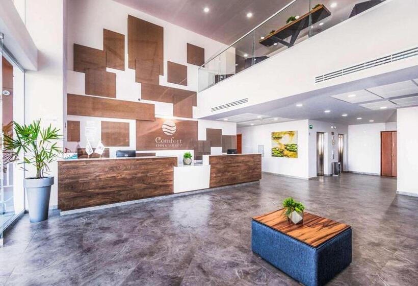 酒店 Comfort Inn & Suites Los Cabos