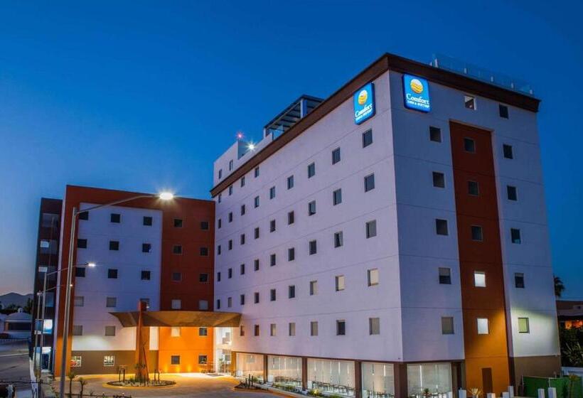 酒店 Comfort Inn & Suites Los Cabos