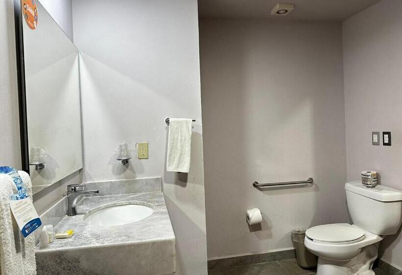 酒店 Comfort Inn & Suites Los Cabos