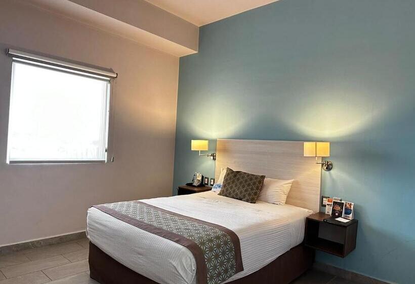 酒店 Comfort Inn & Suites Los Cabos