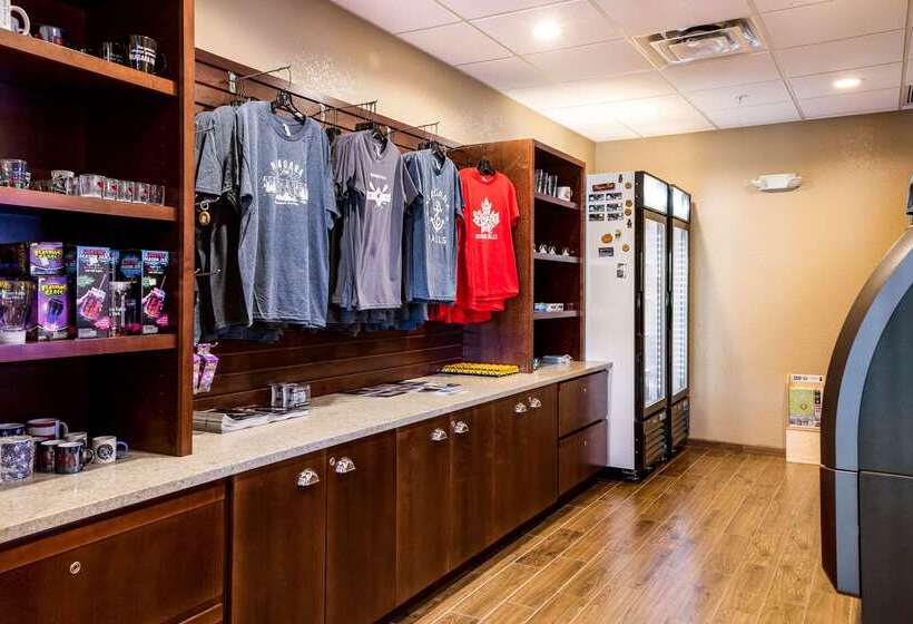 هتل Comfort Inn & Suites Niagara Falls Blvd Usa