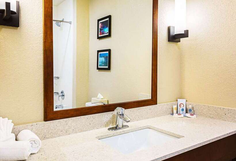 Отель Comfort Inn & Suites Niagara Falls Blvd Usa