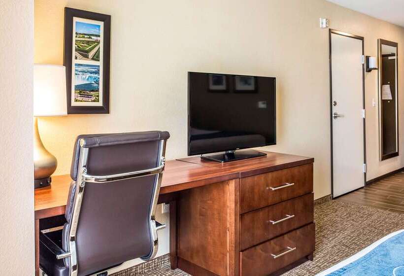 Отель Comfort Inn & Suites Niagara Falls Blvd Usa