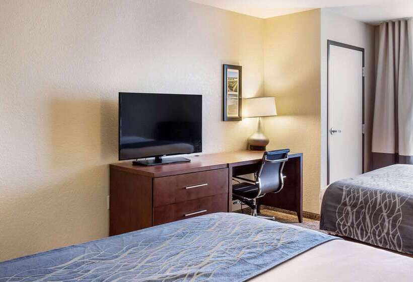 Отель Comfort Inn & Suites Niagara Falls Blvd Usa