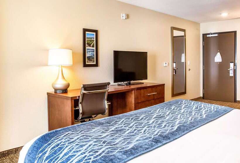 Отель Comfort Inn & Suites Niagara Falls Blvd Usa