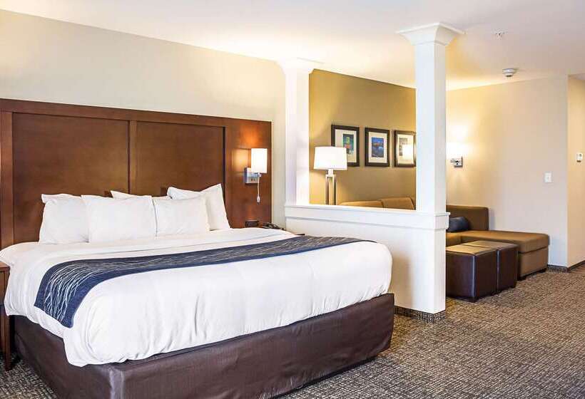 Отель Comfort Inn & Suites Niagara Falls Blvd Usa