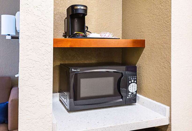 Отель Comfort Inn & Suites Niagara Falls Blvd Usa