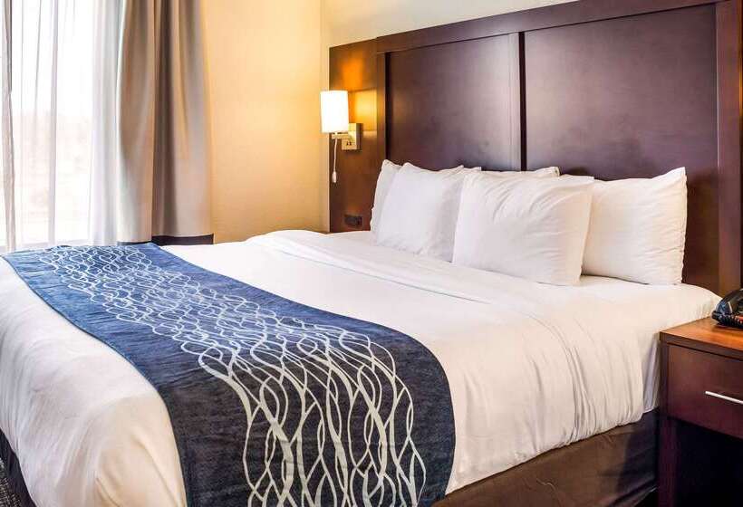 Отель Comfort Inn & Suites Niagara Falls Blvd Usa