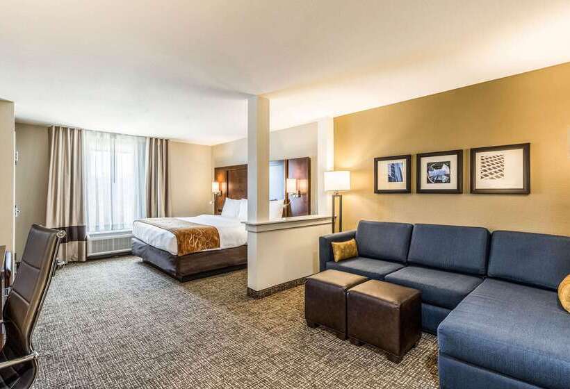 בית מלון כפרי Comfort Suites