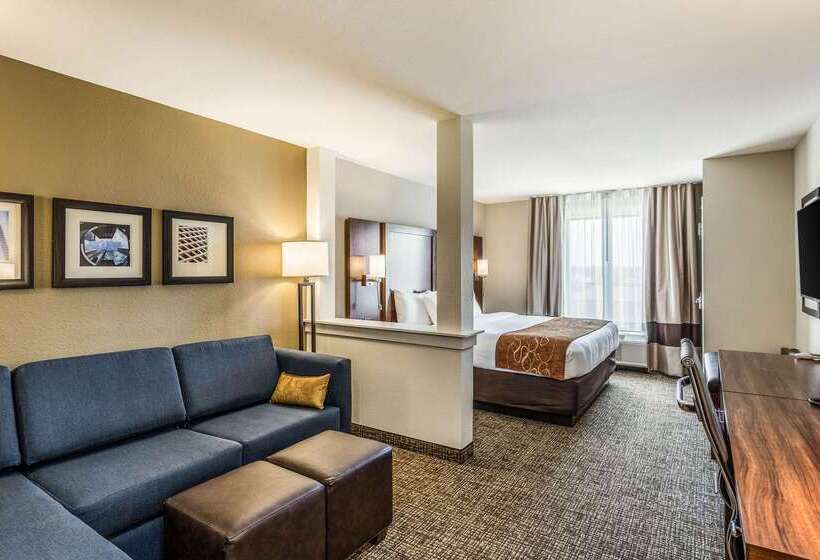 בית מלון כפרי Comfort Suites